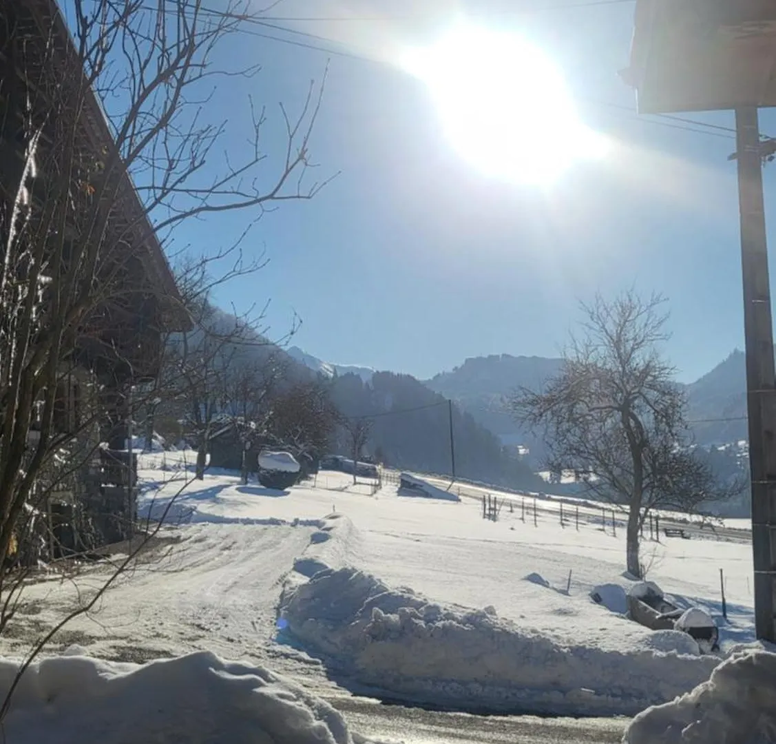 Le Nid Des Cerfs Bed and Breakfast Essert-Romand Bed & Breakfast